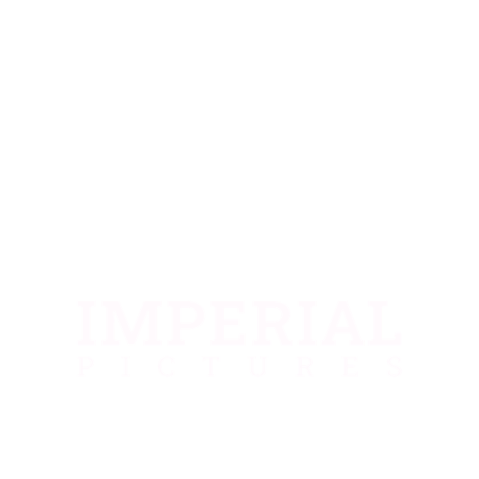 PT. Imperial Multi Mosion